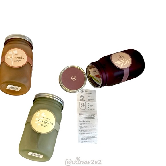 Set of 3 Herb Garden Jars Host Pick - Picture 12 of 16